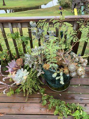 Lots of beautiful plants on the deck at Blue Heaven