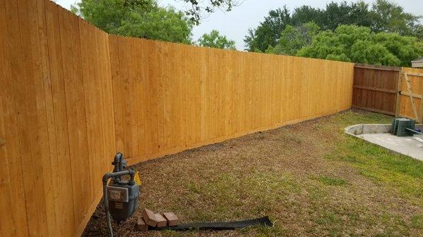 6ft 6in tall gold stain treated pine wooden fence