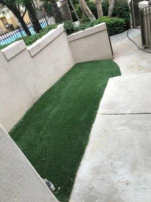 After Artificial Lawn