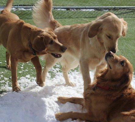 Fun in the snow.