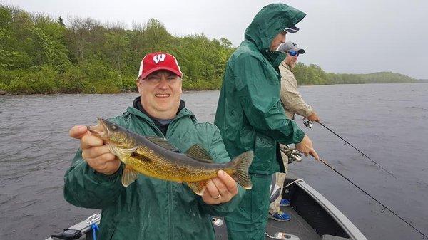 Nelson Lake Walleye!