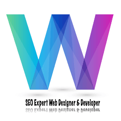 Orlando SEO Expert & Consultant