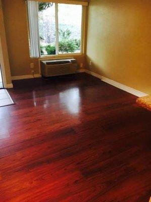 Beautiful wood floors and air conditioning!