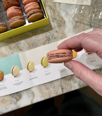 delicious perfection macaron!