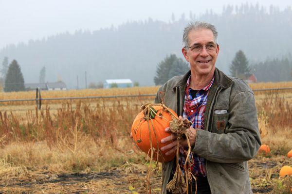 The field is massive so you can find the perfect pumpkin:)