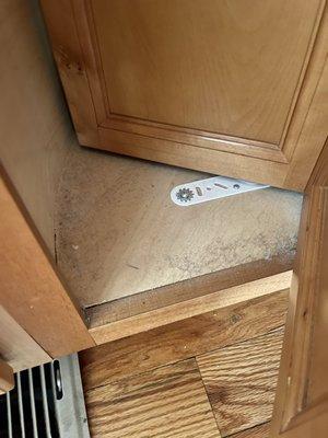 Filthy inside of cabinet