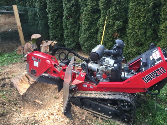 Contact us today for your free stump removal estimate.