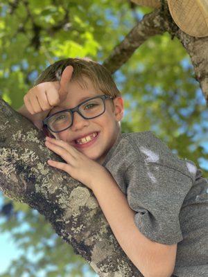 Boy in tree