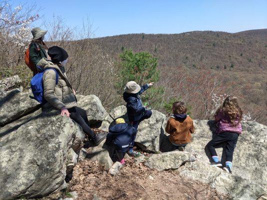 Hawk Mountain Sanctuary - Spring Migration