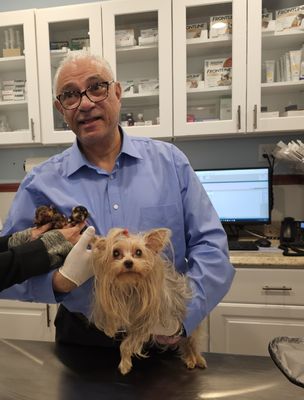 Dr. Bekhet, with my girl (Hazel) & her puppies after her delivery at Francis Animal Clinic