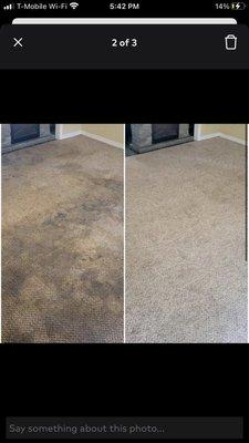 Az Floor Care Carpet Cleaning