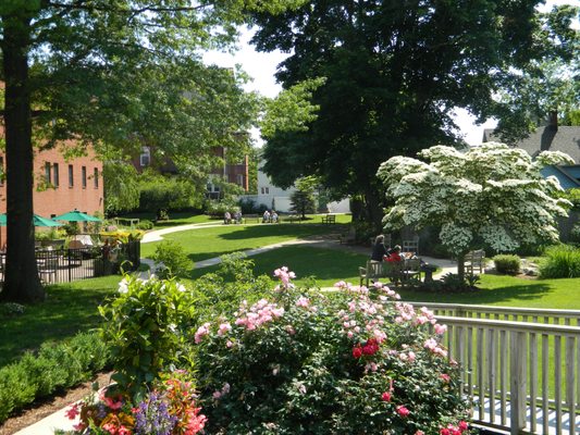 The Mary Wade Healing Garden