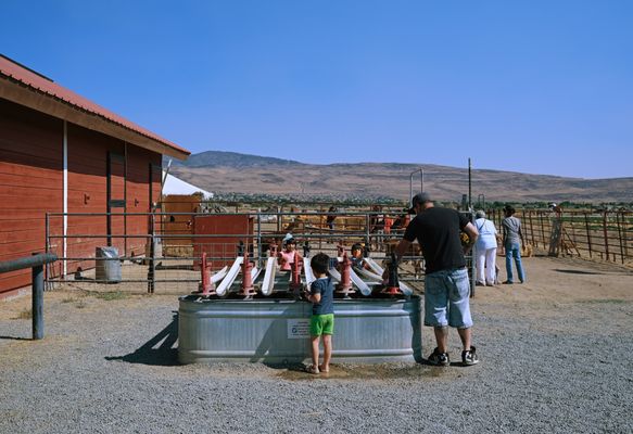 duck race water pumps are always a hit