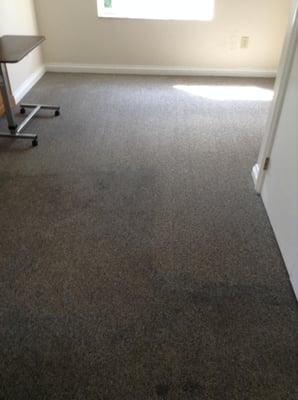 Our carpet cleaning procedure gets the job done! Before cleaning at the bottom, after cleaning at the top.