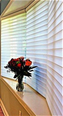 Window Horizons - Hunter Douglas Shades And Blinds