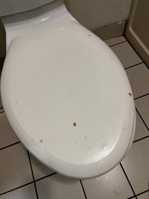 Cigarette burns on toilet