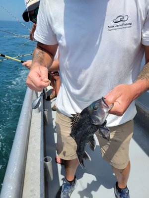 PRETTY sea bass held by Joe