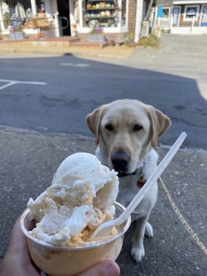 Sammy loves ice cream!