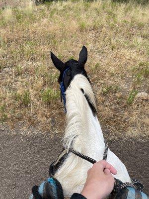 Western Trail Rides at This Is The Place Heritage Park