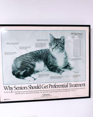 CA senior treatment