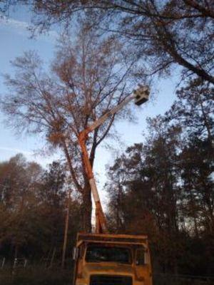 Owens Lawncare &Tree Removal