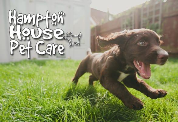 Hampton House Pet Care