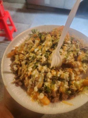 Carne asada fries