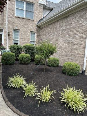 Wilson Garden Center Inc Landscaping & Tree Service