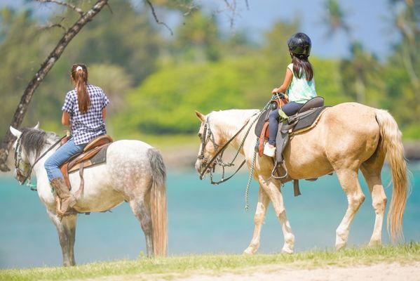 Stables at Turtle Bay