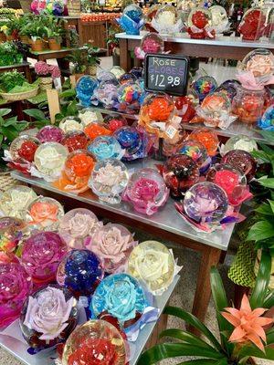 Rose Globes!