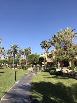 Nice manicured lawn with palm trees walk path supercleanf