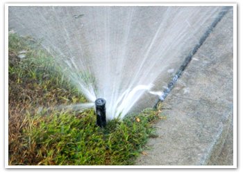 Rockwall Lawn Sprinkler Repair