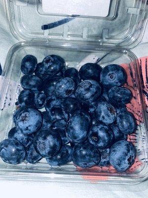 Fresh blueberries. So huge & good!