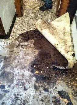 Mold Cleanup, Mold Remediation, Musty Smell, Odor Removal