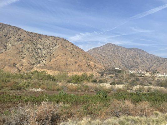 Picture of view from bike path pavement