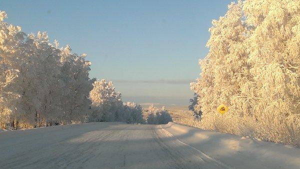 Beautiful Commute! Fairbanks ALASKA - our home!