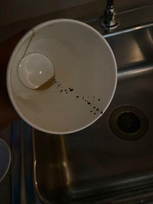 Coffee grounds inside my coffee. Tasted a few when I took two sips and decided to pour it out and saw this and more.