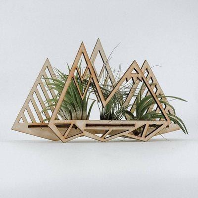 Wooden Air Plant holders made in Milwaukee