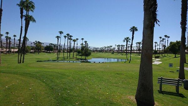 Pretty golf course view