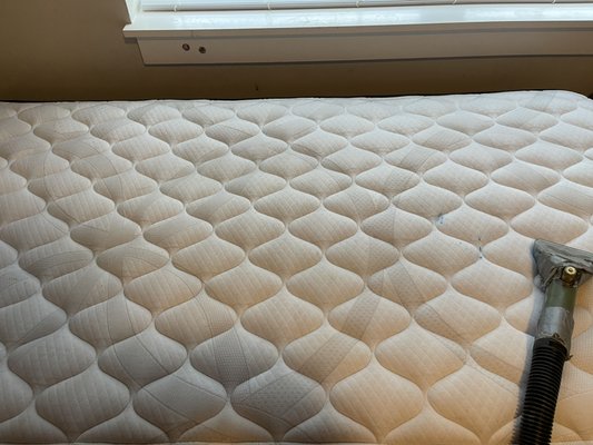 We provide mattress cleaning