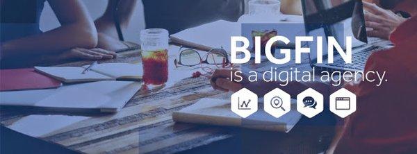 Bigfin.com is a Digital Marketing Agency