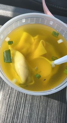 Bug in soup