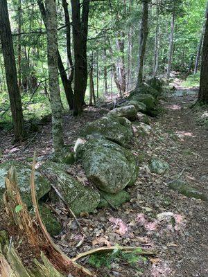 Centuries-old New England stone fences