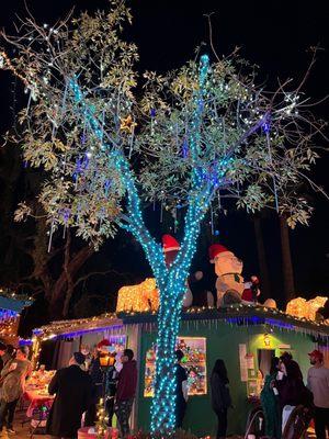 Blue Lit Icicle Tree