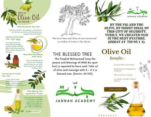 Olive Tree Flyer