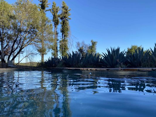 Kayakalpa Retreat guests  can enjoy our saline pool with beautiful views.