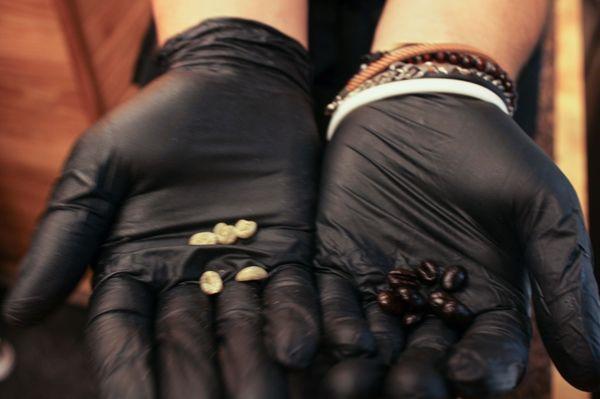 Coffee beans (left white bean is pre roasted) and right bean is after they have roasted the bean and it is ready for brewing