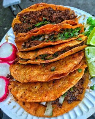 Crispy Birria Tacos.