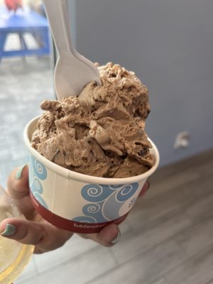 Chocolate Ice Cream