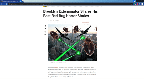 The Gothamist interviews NYC Pest Control's Billy Swan, where we share's his expertise, and "horror stories," on bed bugs.